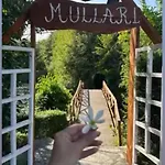 Chalet Bujtinat Te Mullari Vau i Dejes