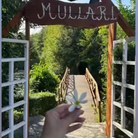 בקתה Bujtinat Te Mullari Vau i Dejes